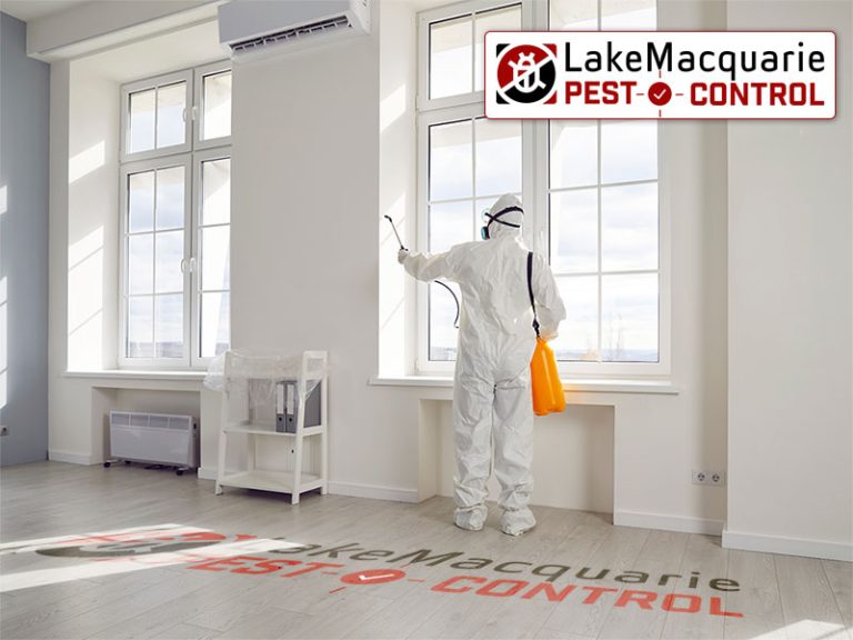 lake-macquarie-pest-control