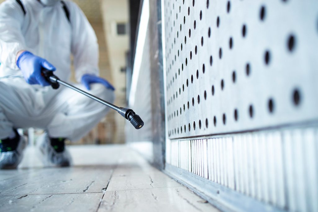 lake-macquarie-pest-control