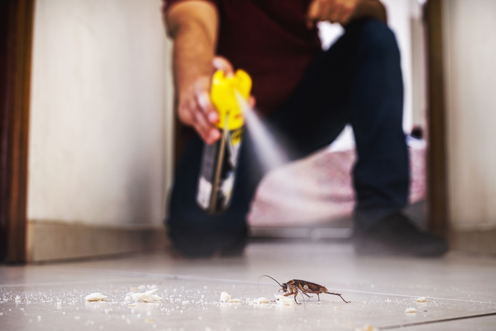 How to Keep Roaches Away and Get Rid of Them in Your Home
